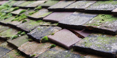 Redmile roof repair costs